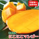 【いっぴん】沖縄県産　にこにこマンゴー