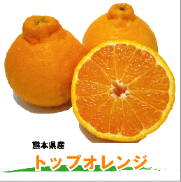 【いっぴん】熊本県産　トップオレンジ(不知火)